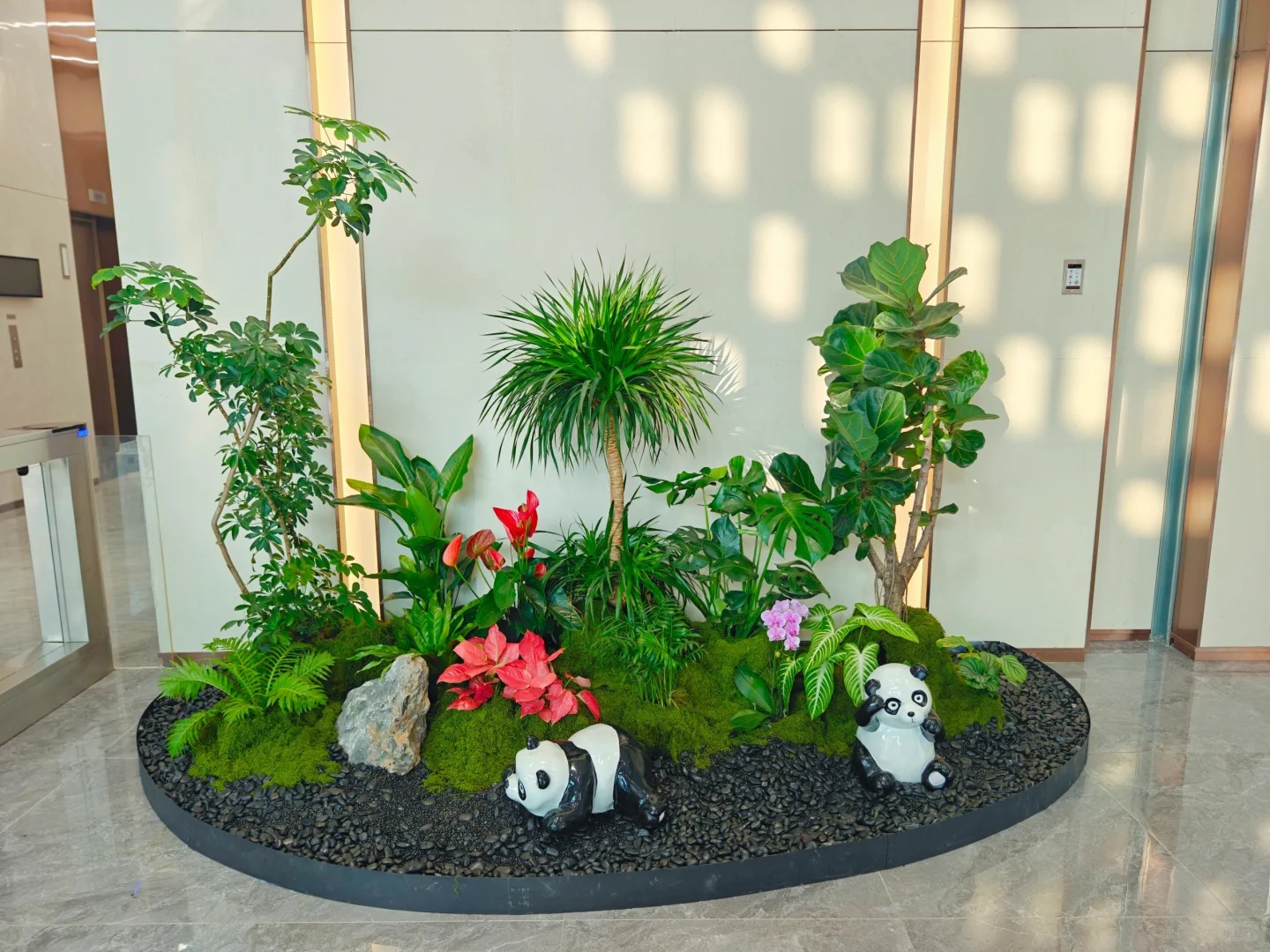 优质服务加持，北仑盆景租摆，装点美好环境！